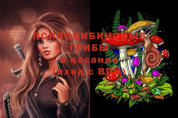 крисы Абаза