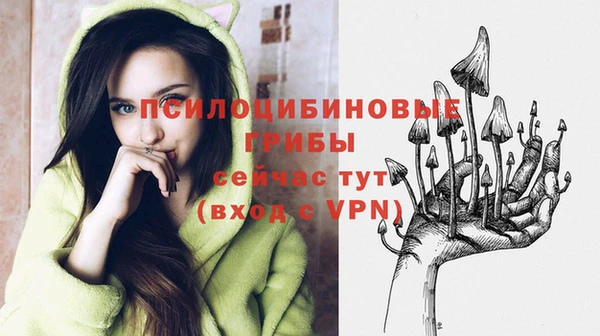 а пвп мука Абдулино