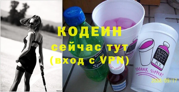 крисы Абаза