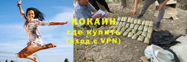 крисы Абаза