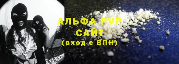 крисы Абаза