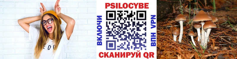 Псилоцибиновые грибы мухоморы  купить закладку  Щучье 